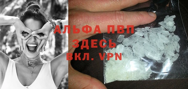 сатива Богородицк