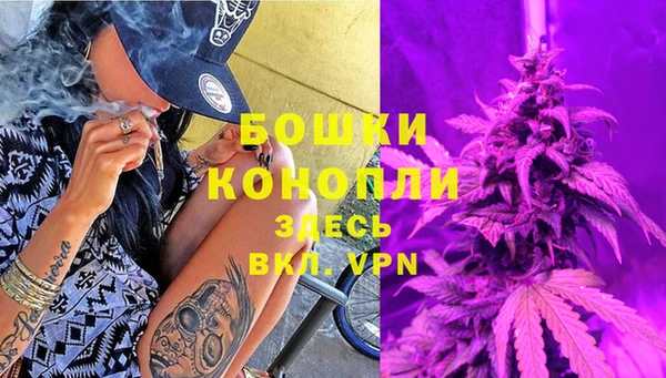 сатива Богородицк