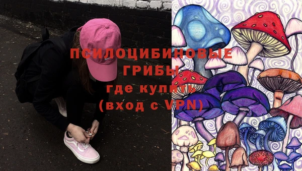 гашишное масло Богородск