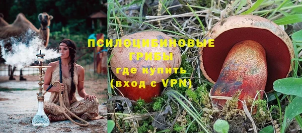 сатива Богородицк
