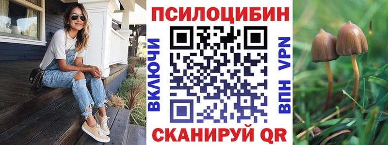 Купить закладки  Бирюч  Галлюциногенные грибы MAGIC MUSHROOMS 